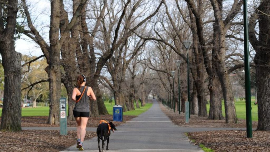 Neighbourhoods South Yarra returning to its former glory