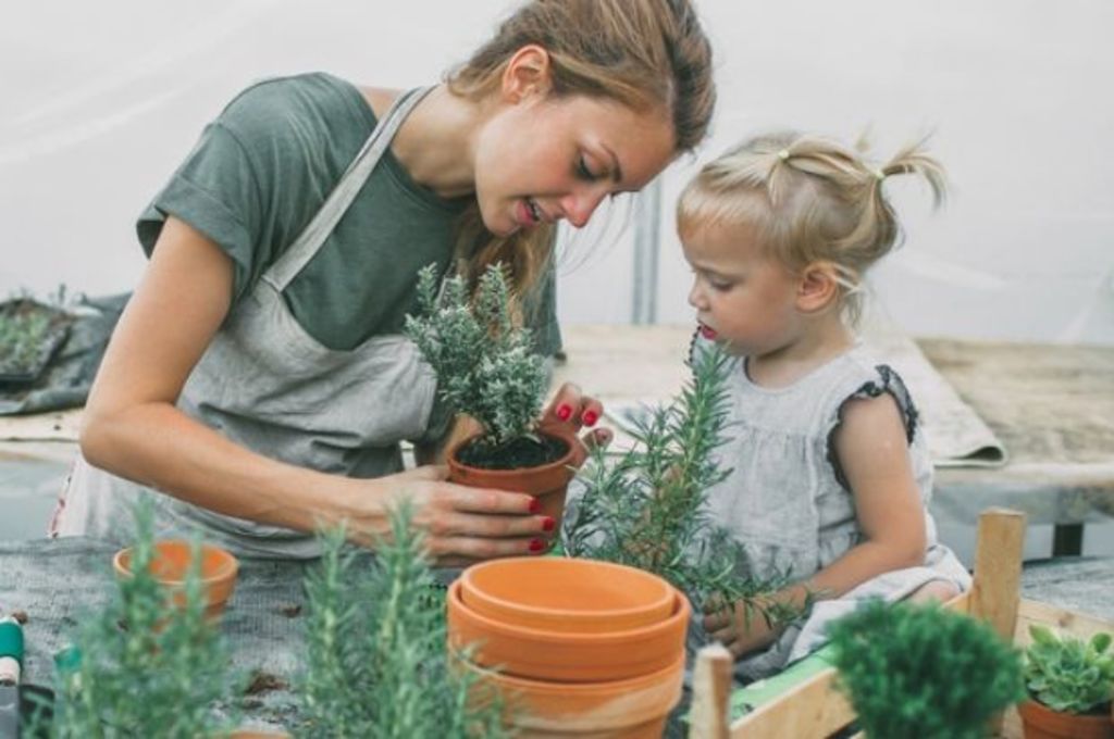 Gardening proven to be a form of therapy
