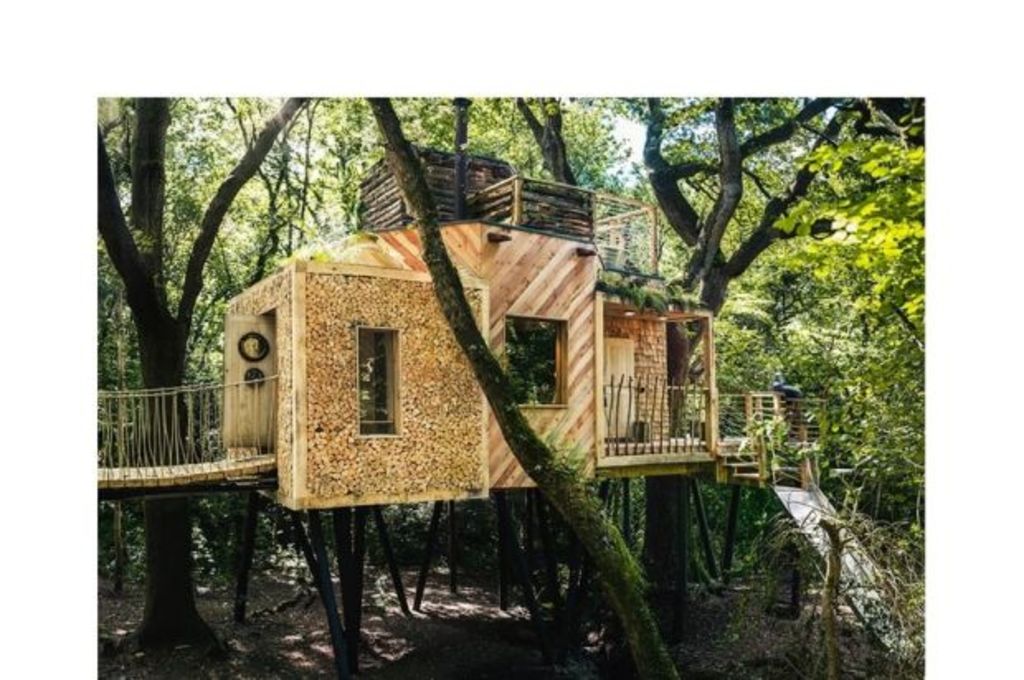 Architect builds luxury treehouse escape in the forest
