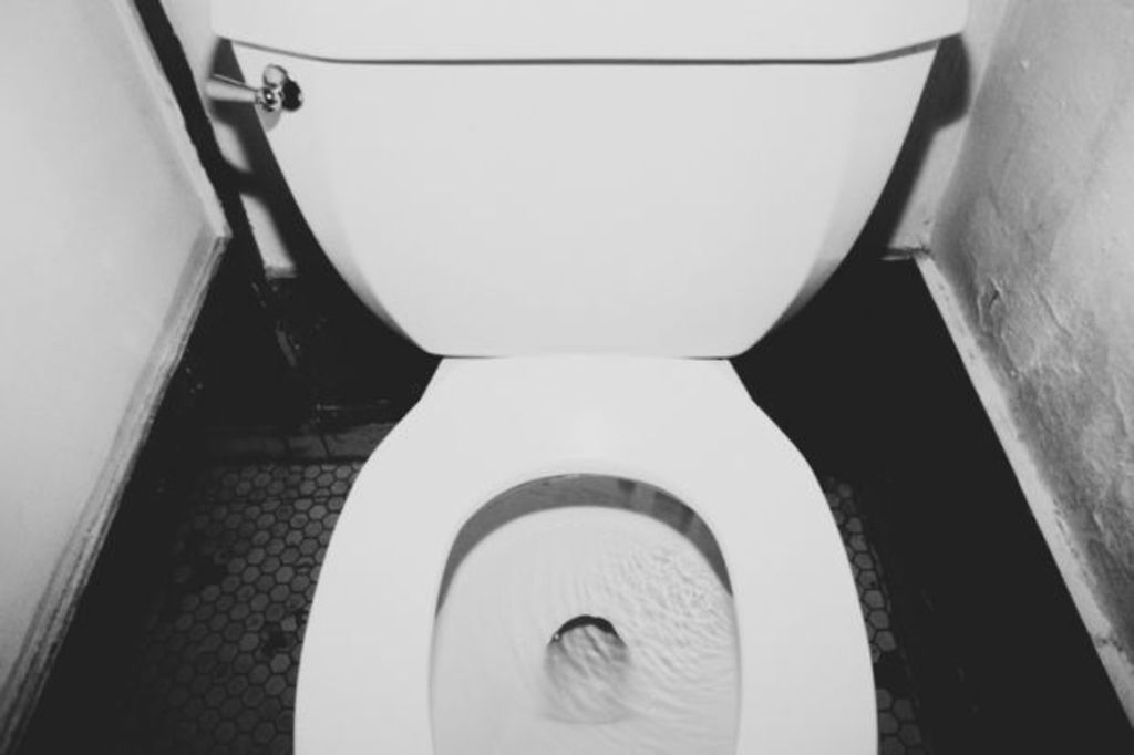 Toilet seat up or down? Here's what most people think