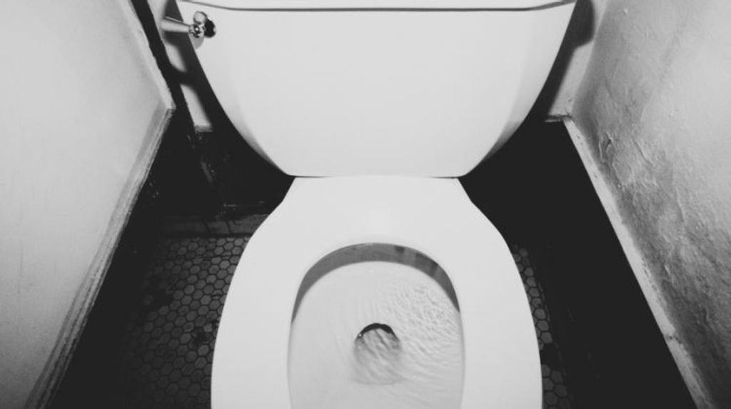 Toilet seat up or down? Here’s what most people think