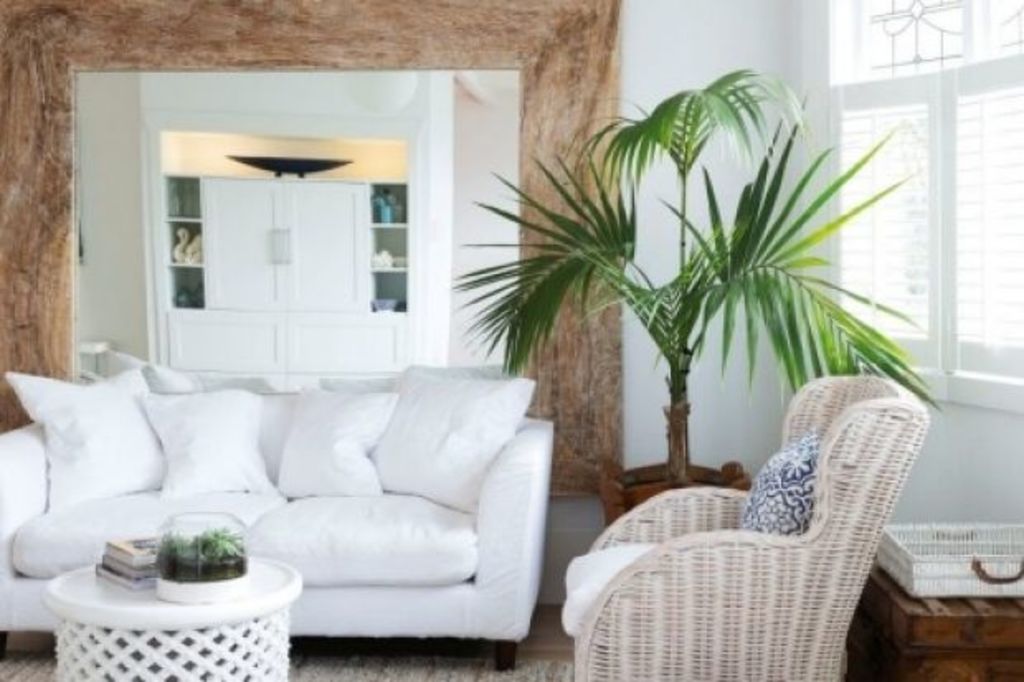 Creative ways to style indoor plants in your home