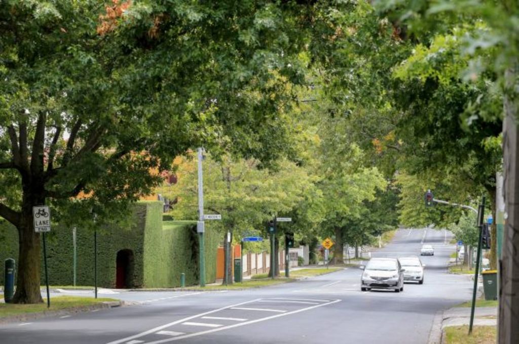 The early roots that have given this leafy suburb evergreen appeal