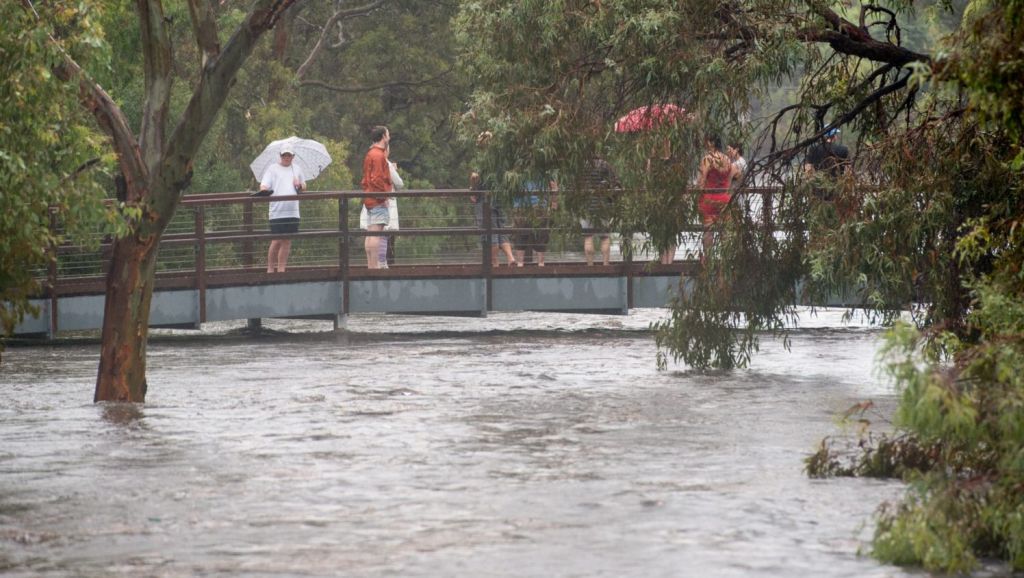 Elwood tenants win compensation from landlord after floods cause ‘black