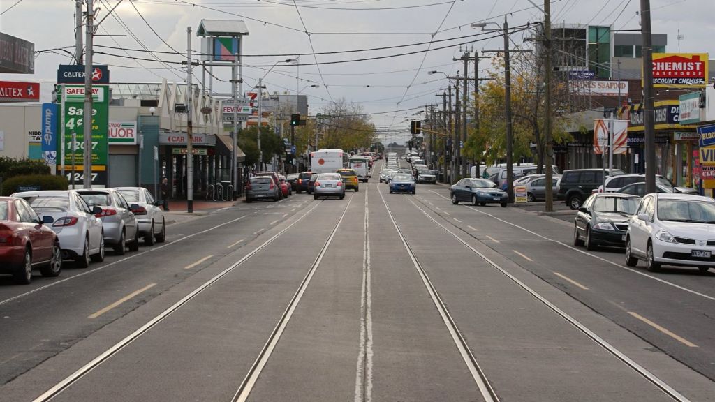 Niddrie Vying for attention against fancier neighbours, it’s got a