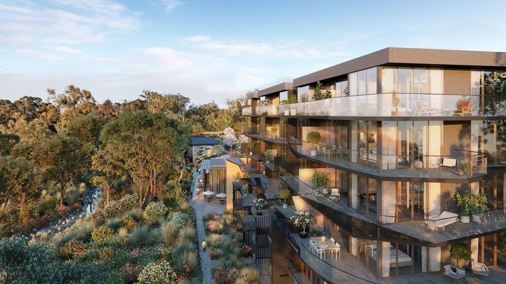 The Ringwood apartments have views over the treetops. Photo: Marshall White Projects