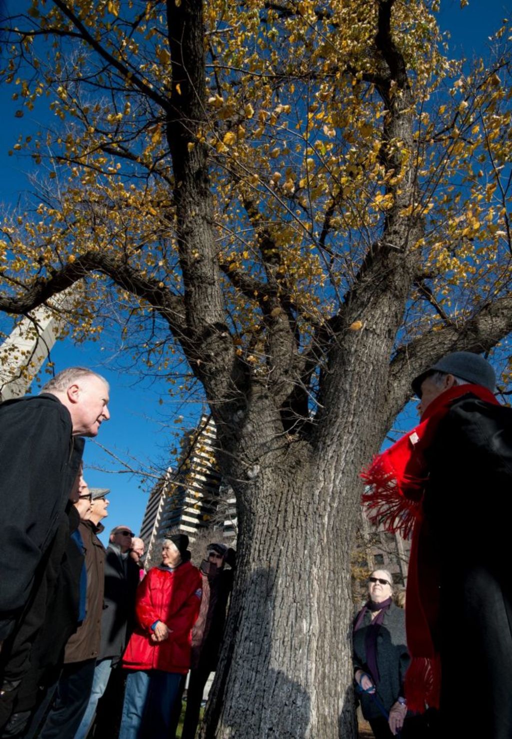 Melbourne metro rail project St Kilda Road residents fear effect on
