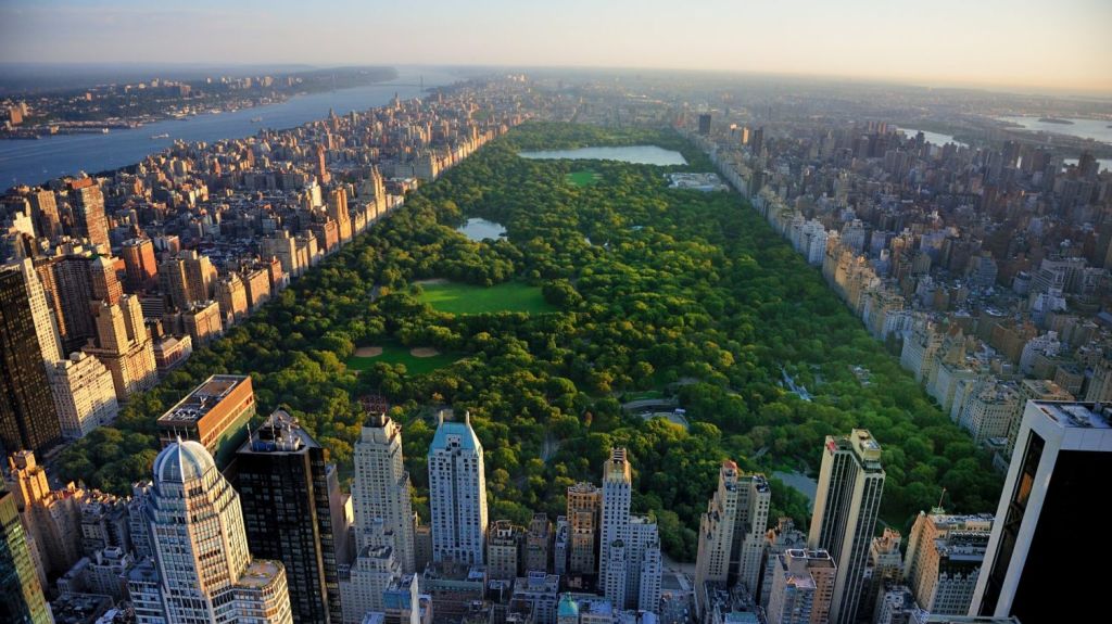 Why Proximity To Green Space In Cities Drives Up Property Prices