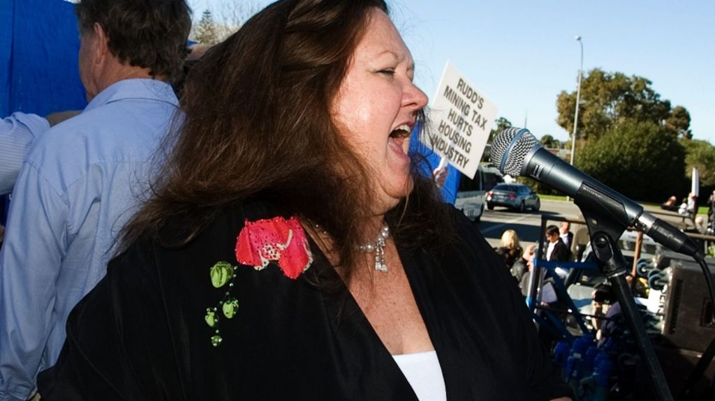 Mining magnate Gina Rinehart - perhaps the namesake for WAs new currency. Photo: Tony Ashby