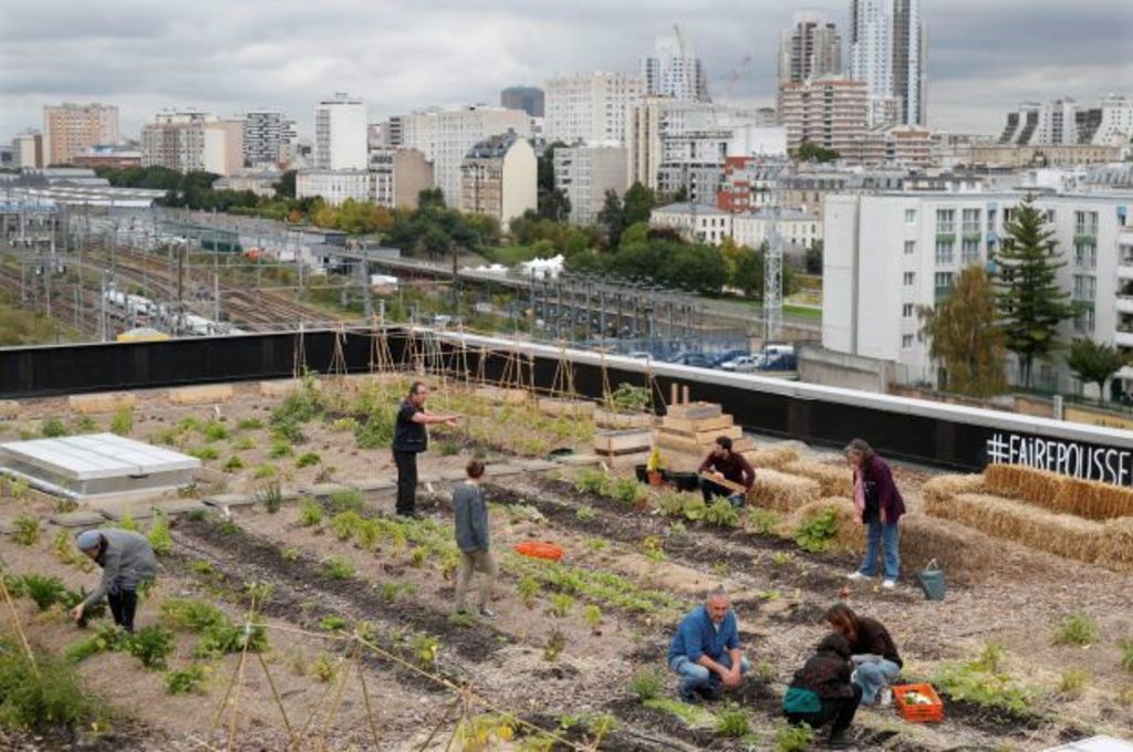 Post office workers grow vegetables and breed chickens on a Paris