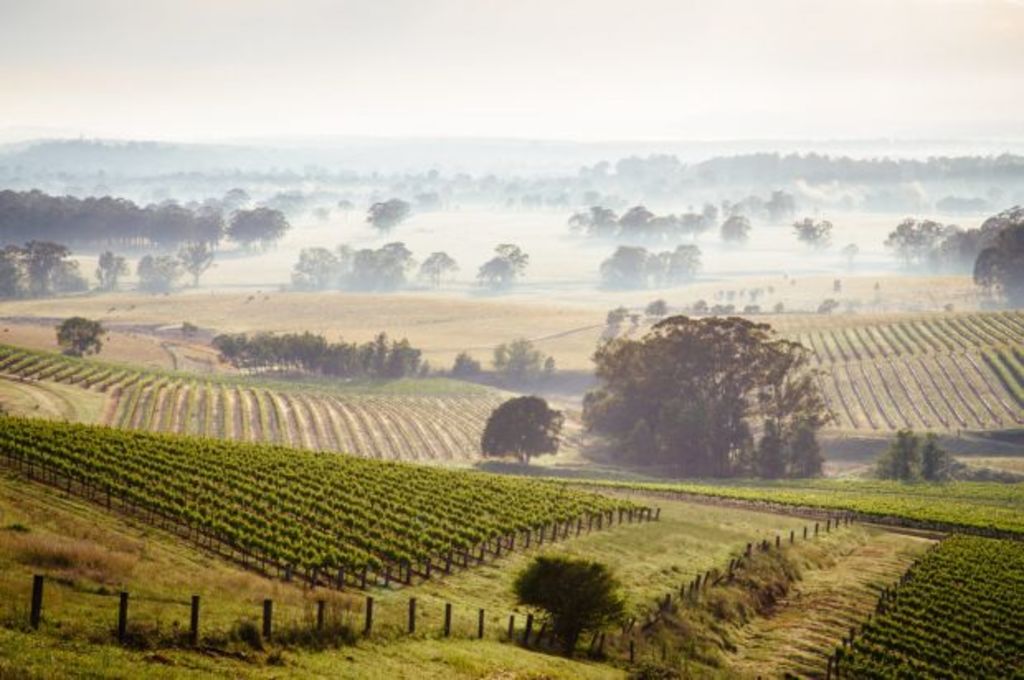 More for less: The appeal of the Hunter region