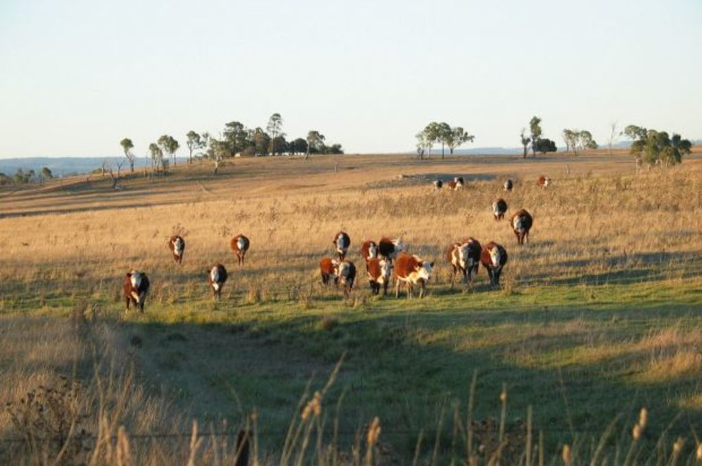 Why it might be time for you to move to Armidale