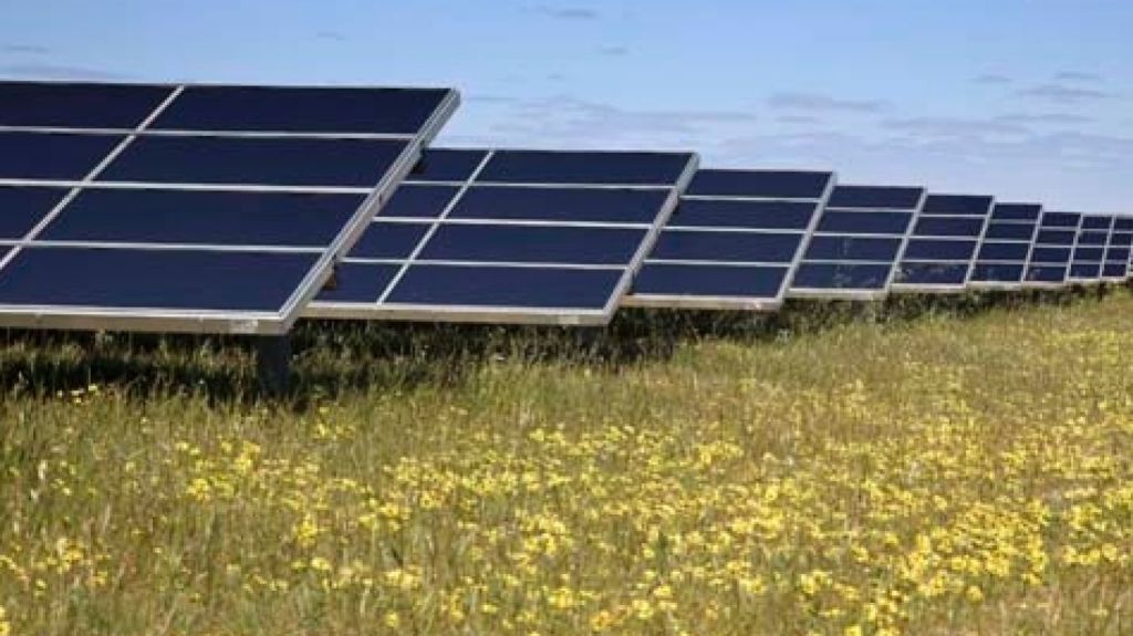 Solar panels are likely to be Australia's main power source in the future.