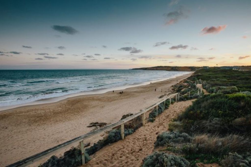 Meet the professionals ditching Melbourne for the Surf Coast