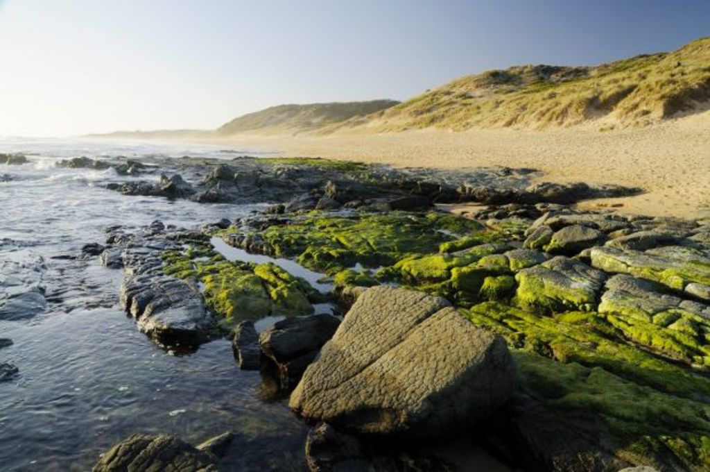 Is this Victoria's most overlooked and undiscovered coastal destination?