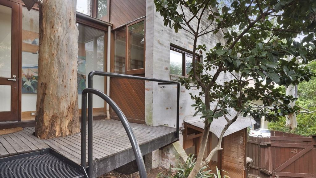 This Balmain property had an unusual layout and a prominent tree as a feature of the design. Photo: Supplied