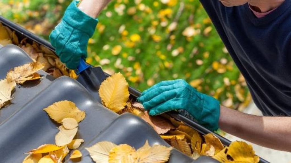 This is a job it pays to keep on top of. Getting rid of the last of the autumn leaves from the gutters is essential. Photo: istock