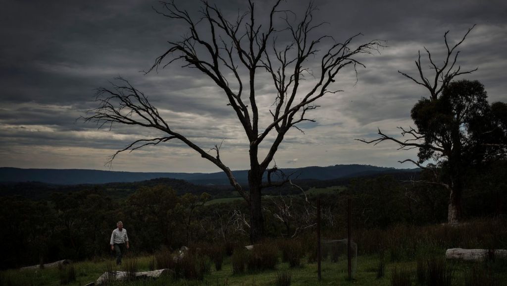 This once-decimated town now has the most home owners in Victoria