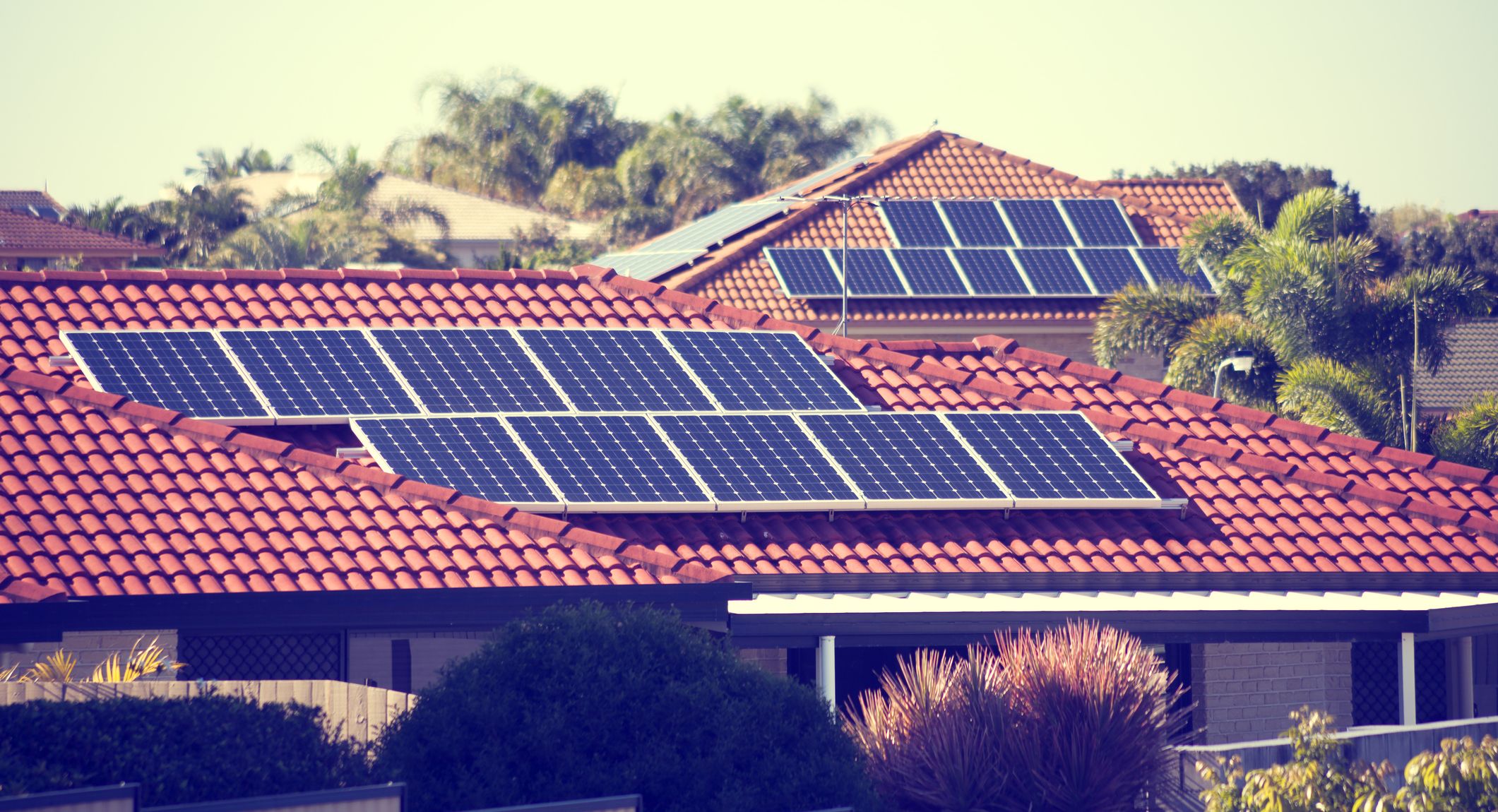 Could solar panels harm the environment?
