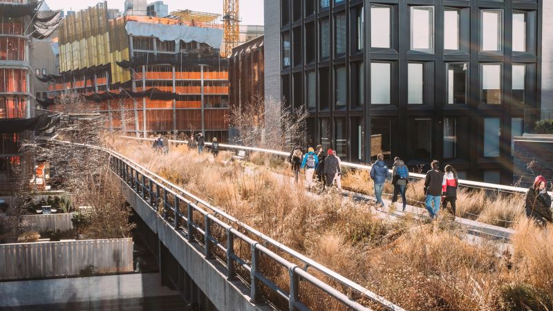 What we can learn about gardening from New York City's The High Line