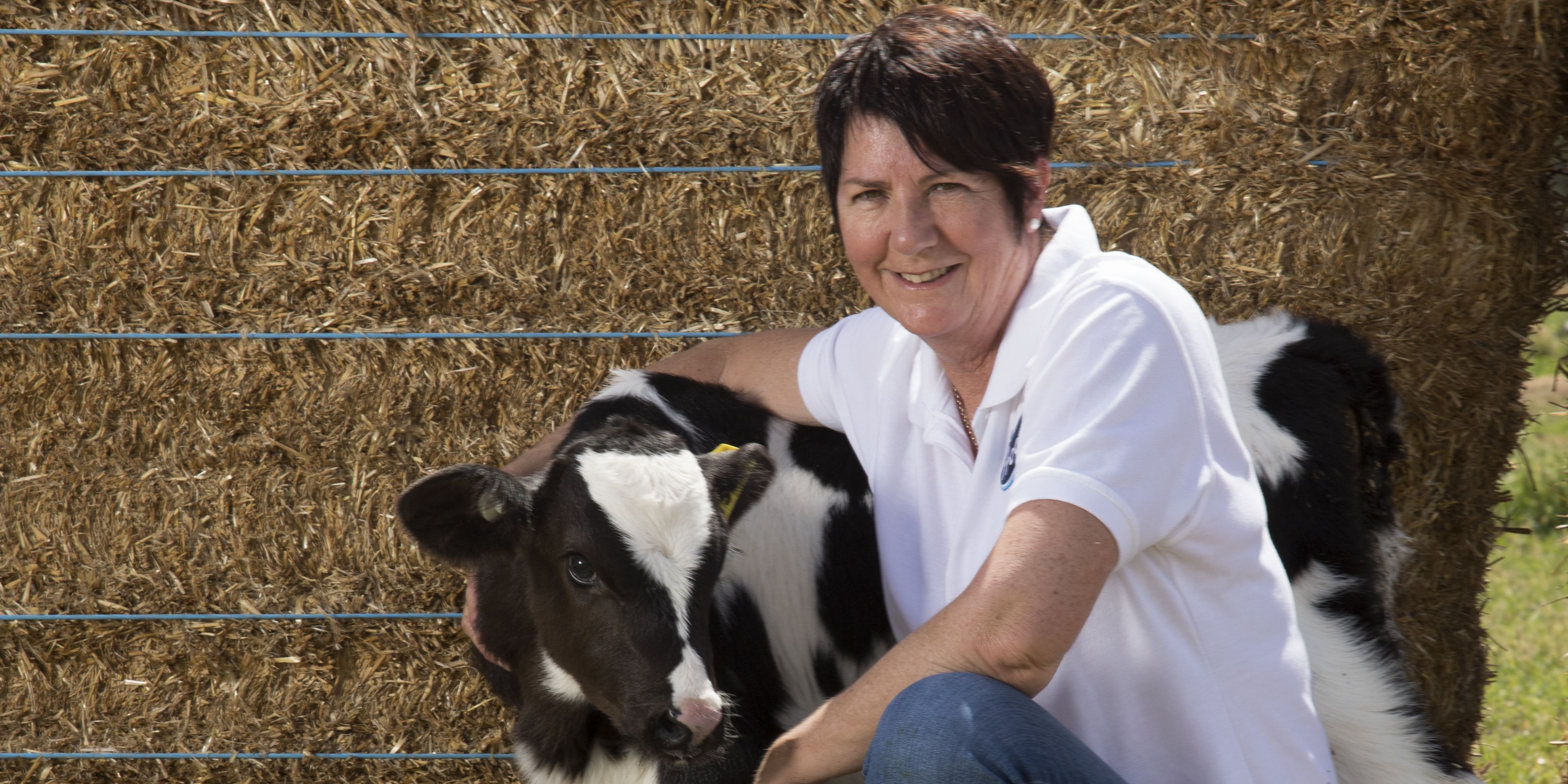 First Person: I’m Sally Mitchell and I’m a dairy farmer