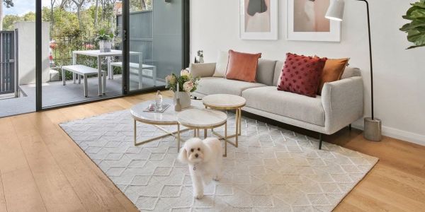 How To Rent If You Have Pets A State By Breakdown Of Rules How To Rent If You Have Pets A State By Breakdown Of Rules For Landlords And Tenants