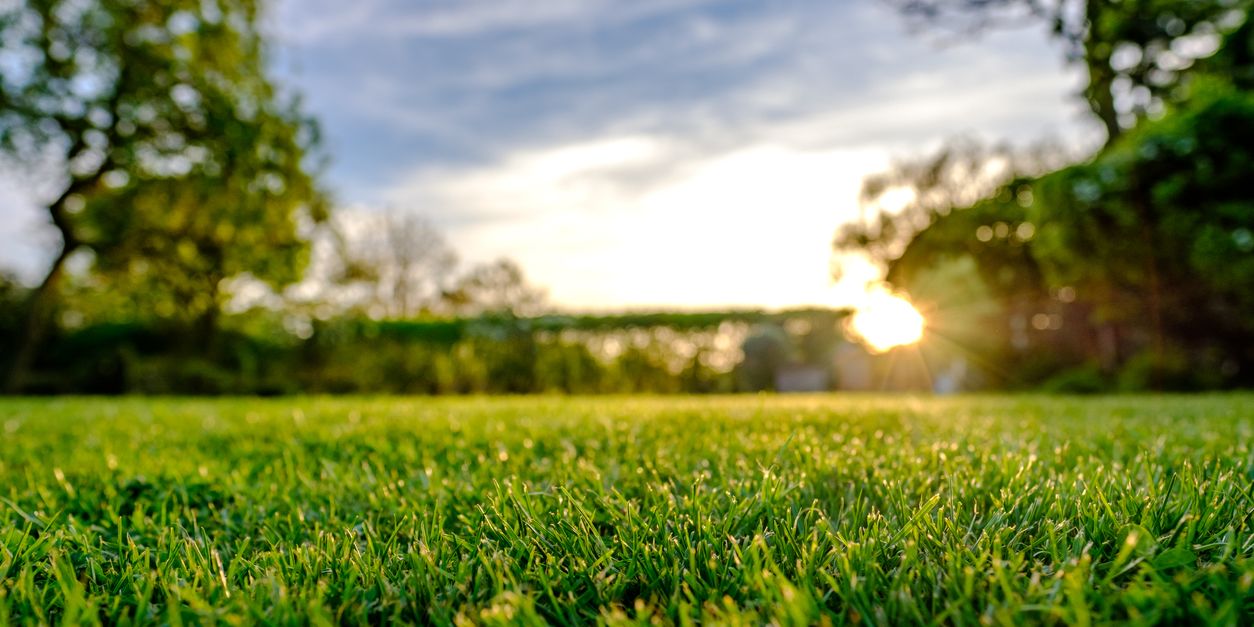 The most common mistake home owners make with their lawns