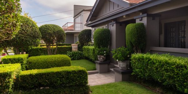 What Can You Take From Your Garden When Move House
