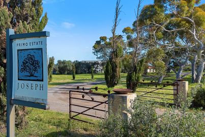 South Australian winery hits the market for $12.5 million
