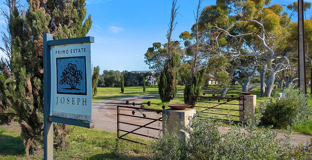 South Australian winery hits the market for $12.5 million