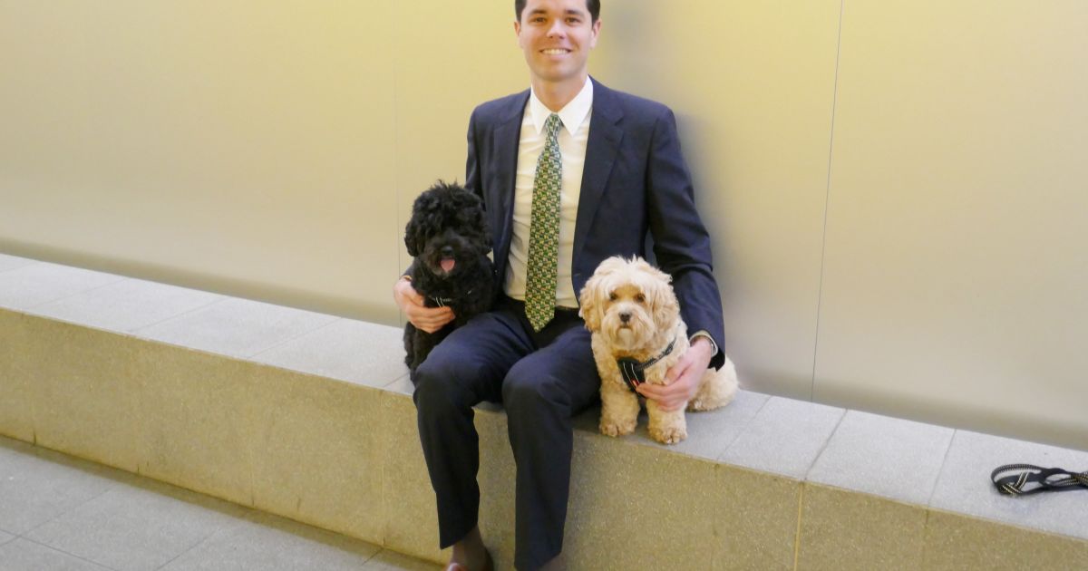 One in 20 NSW rental properties advertised as pet friendly