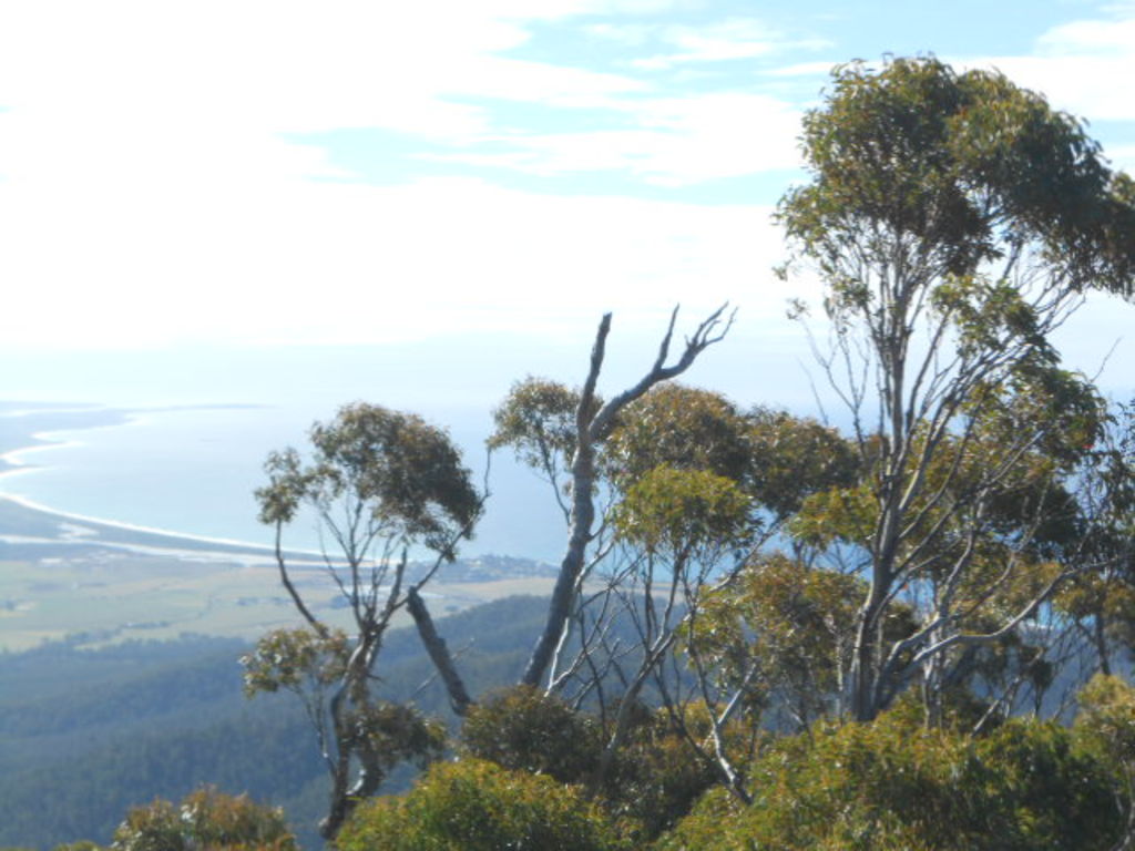 Escape to St Marys, Tasmania A combination of beach and bush beauty
