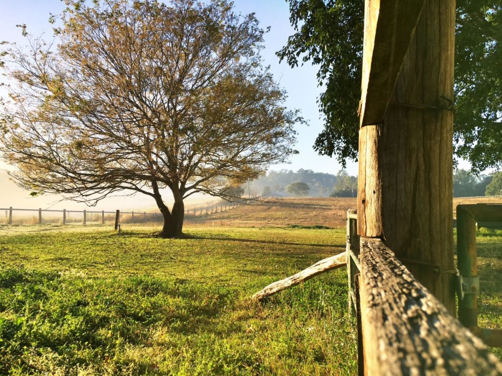 Country music star Troy CassarDaley selling his country house that