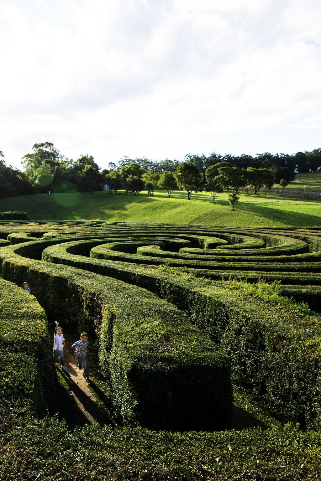 Wauchope From a 'timber town' to a treechanger's paradise