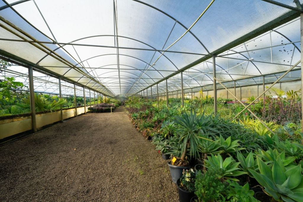 This Cranbourne South house for sale comes with a place to get your