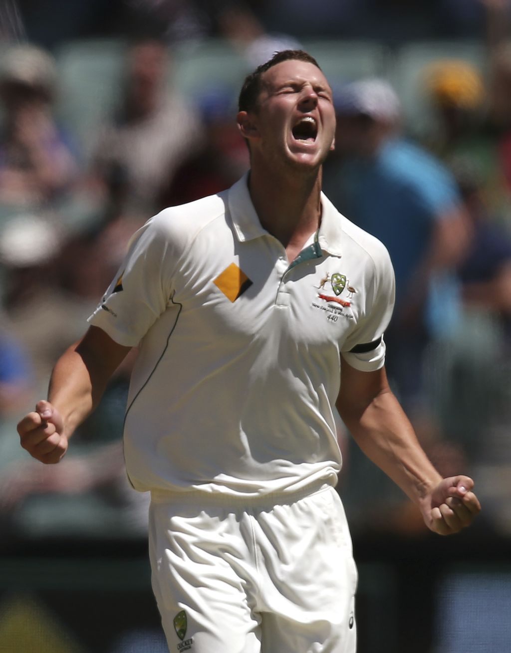 Josh Hazlewood'S Bowling Collapse: A Career Defining Moment? - lqmhf7k