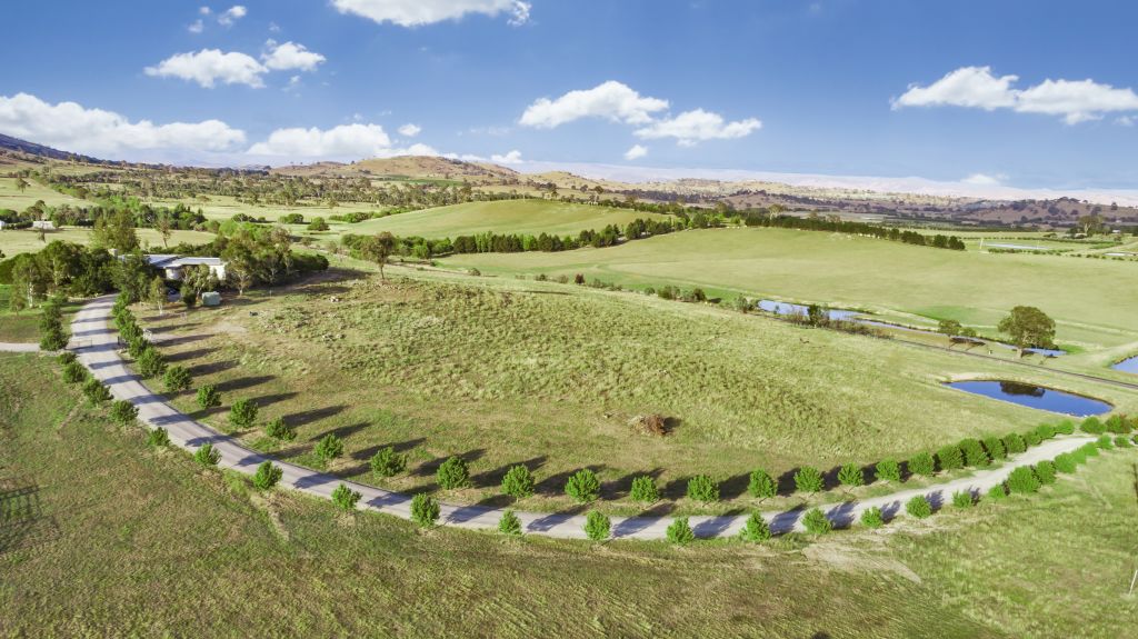 Springrange Springrange home encapsulates bush capital living at its finest