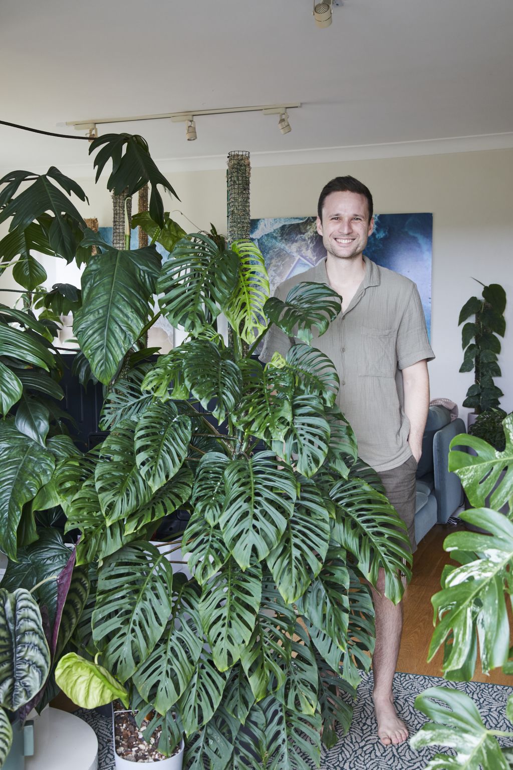 150 and counting How this Sydney renter lives with his huge plant