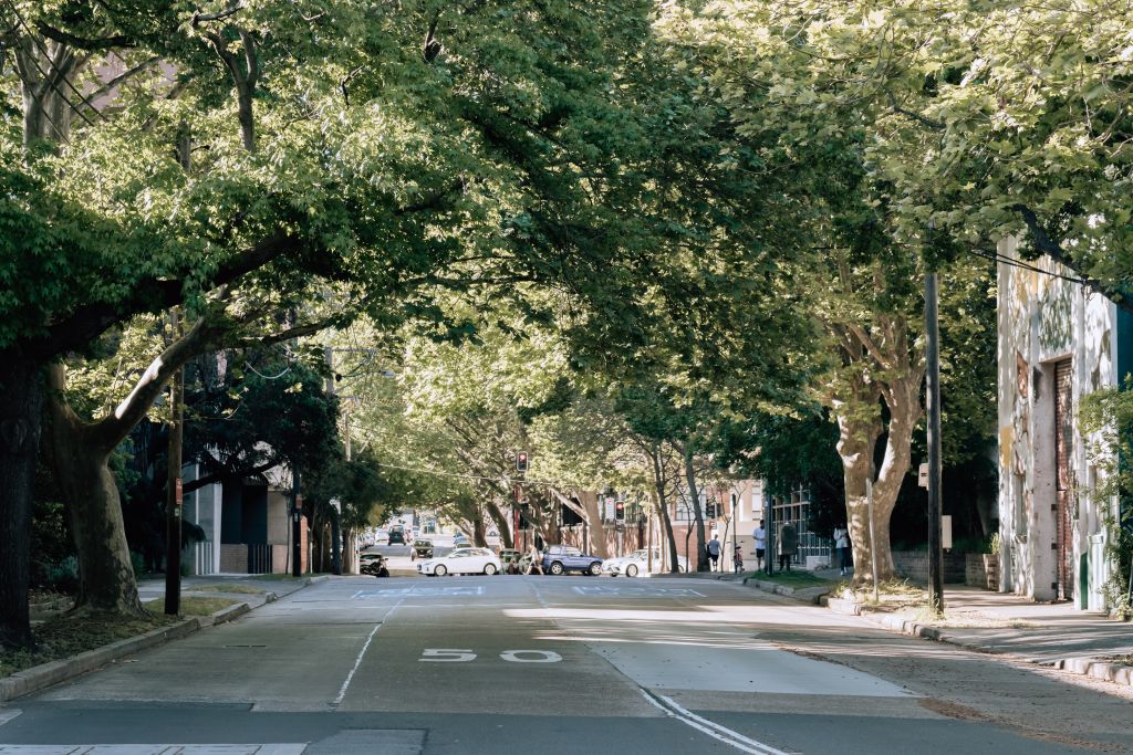 Alexandria Once the home of industry, the inner city suburb is drawing