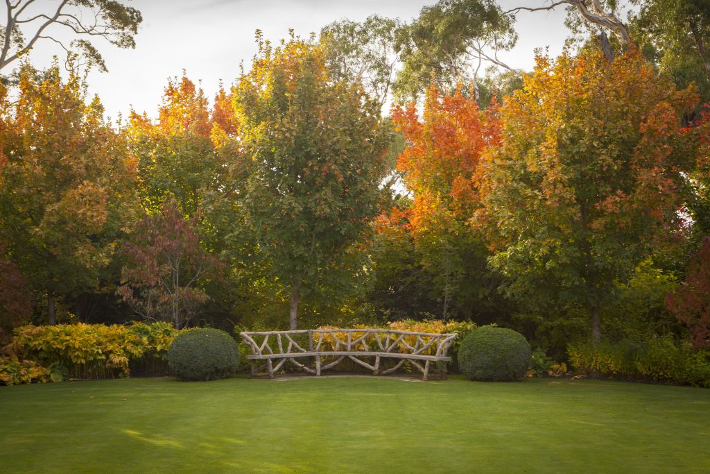 Autumn splendour: How to garden for the new season with Paul Bangay