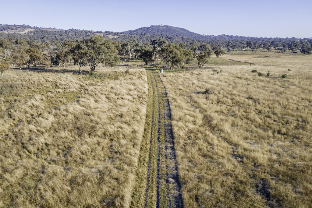 Why Jerrabomberra is attracting people from all walks of life