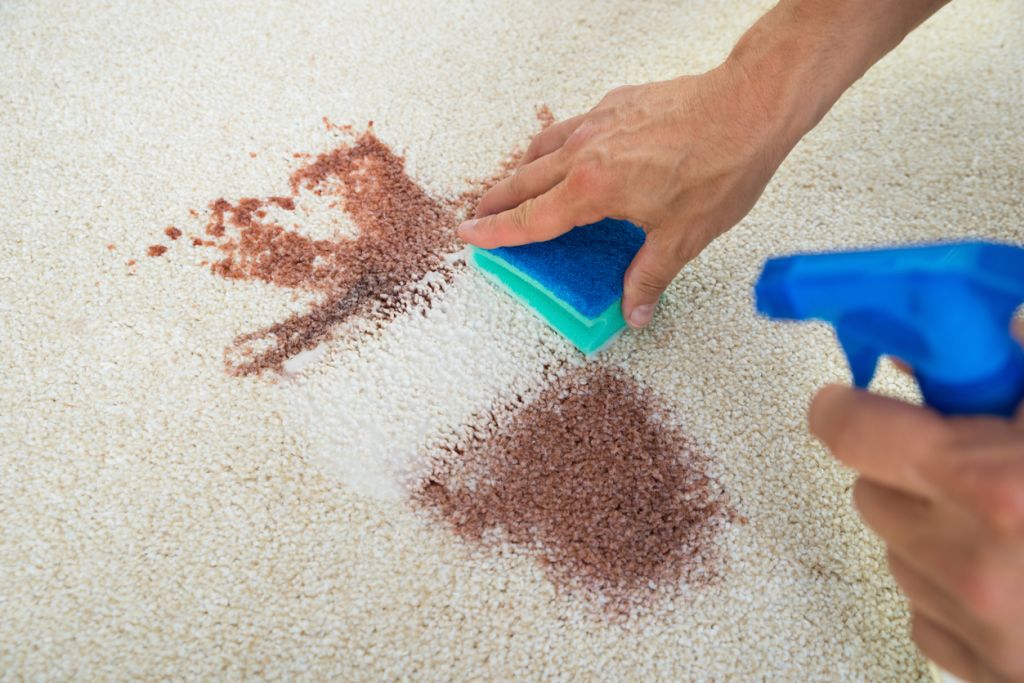 Cleaning carpet stain
