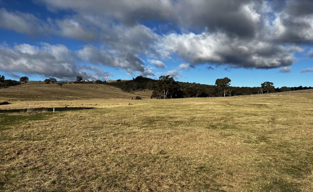 'A rural block this close to Canberra' Spacious blocks in Bywong up