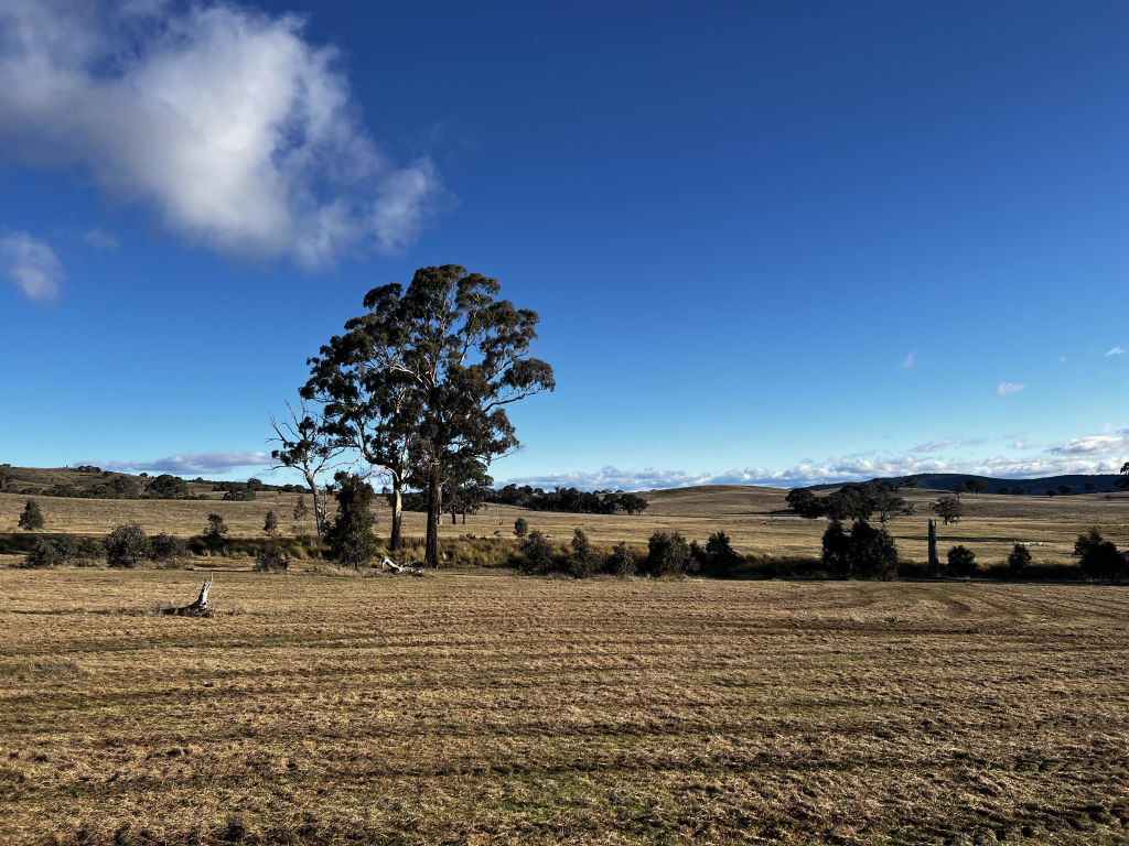 'A rural block this close to Canberra' Spacious blocks in Bywong up