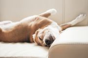 Five weird household smells and how to get rid of them