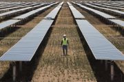 Forget waiting for the Government to act: How to neutralise your greenhouse gas footprint