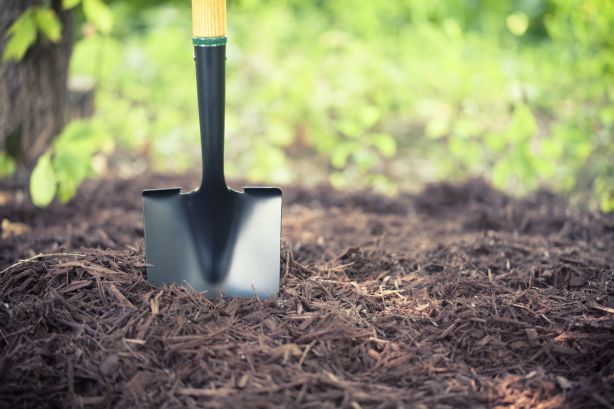 Compost