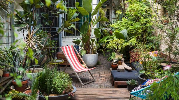 Pot plants make it possible to have a garden which you can take when you leave a rental property. Photo: Daniel Shipp