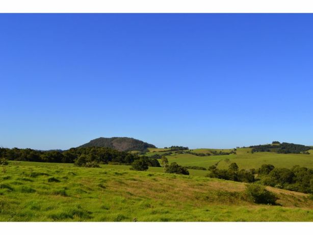 Ken and Naomi Henry bought 3500 Wingham Rd Comboyne near Port Macquarie