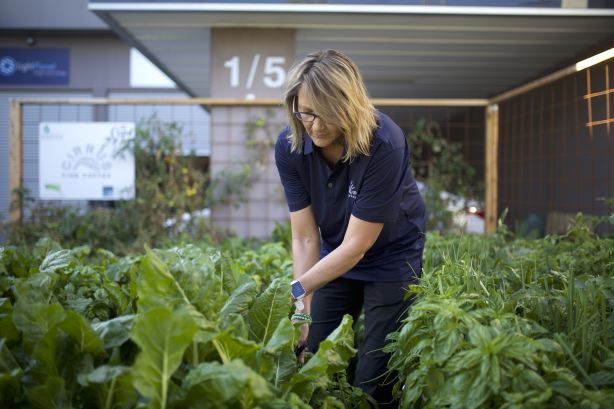 Gardens in car spaces